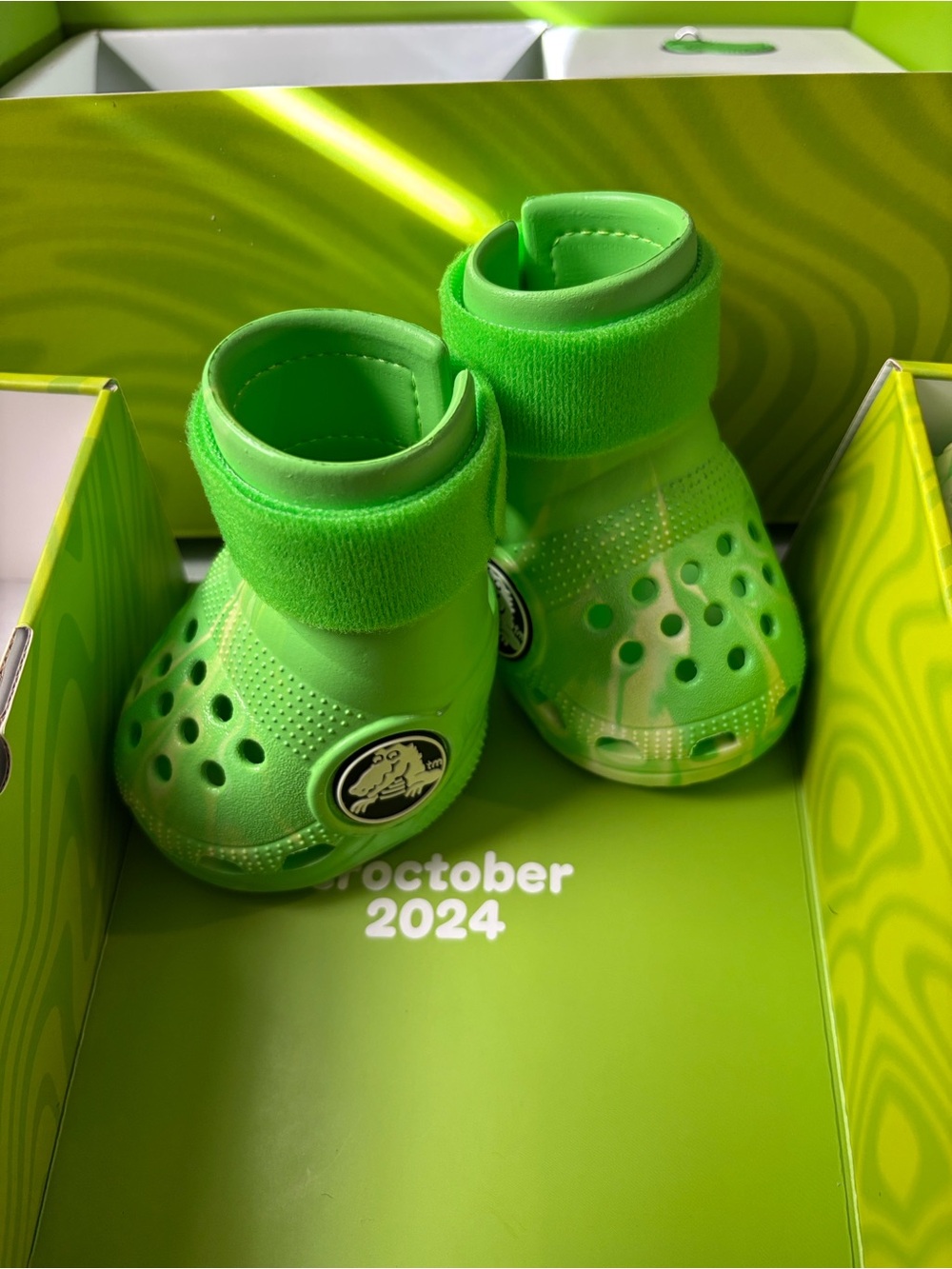 Dog crocs
